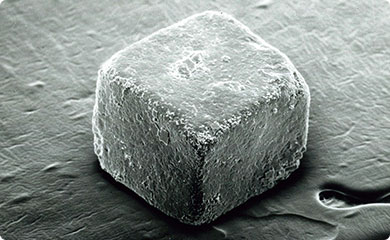 電子顕微鏡で見た塩の結晶